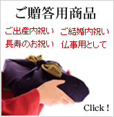 ��£���Ѿ��ʡʤ��л������뺧��ˤ���Ĺ���Τ��ˤ���ʩ���ѡ�
