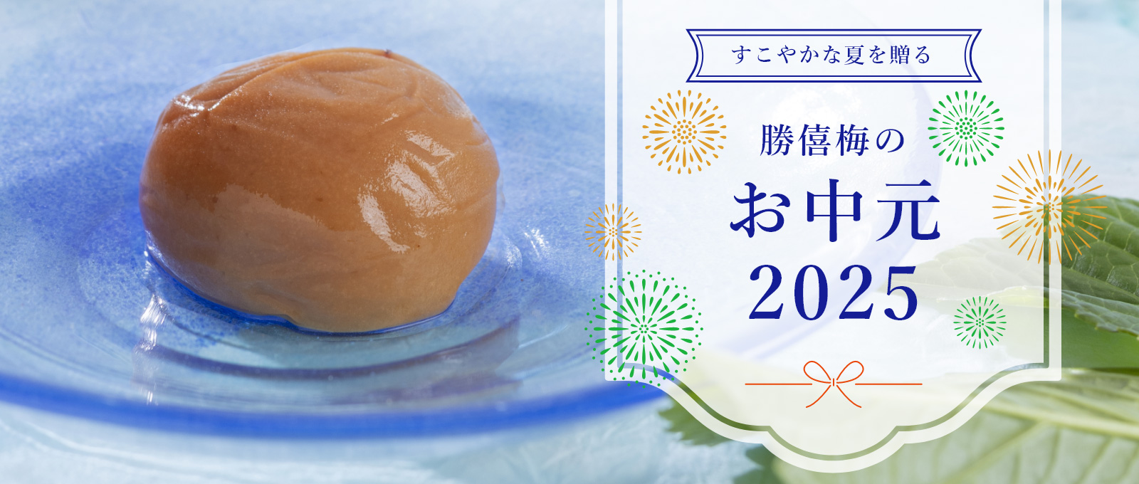 すこやかな夏を贈る　勝僖梅のお中元2025